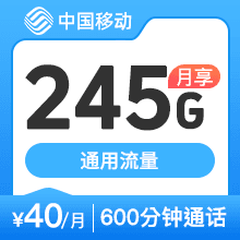 40元245G600分钟